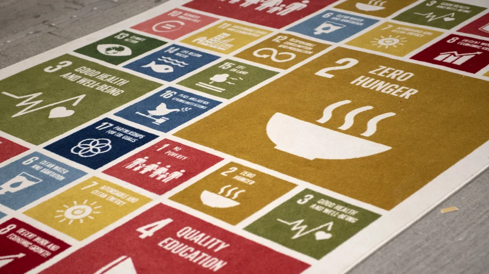 Mat with colorful squares on paved surface, outlining the UN SDGs.