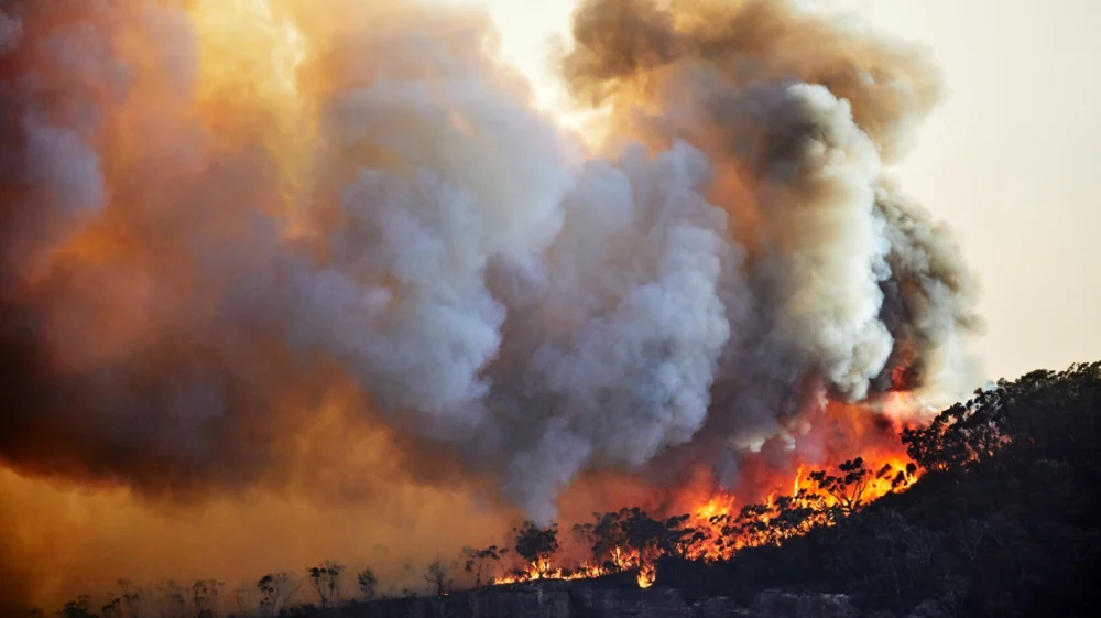 Bush fires in Australia will be more common due to climate change. Blue Mountains, Australia.
