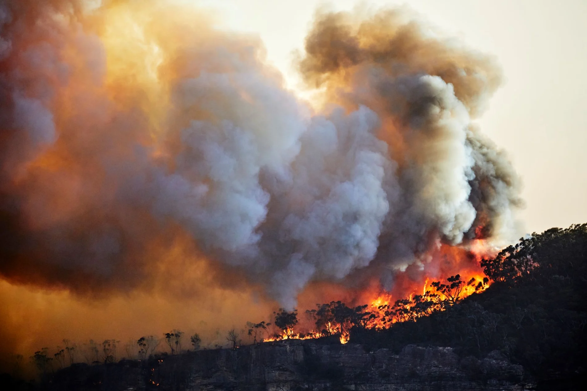 Bush fires in Australia will be more common due to climate change. Blue Mountains, Australia.