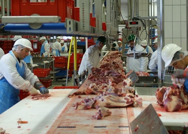 Meat production