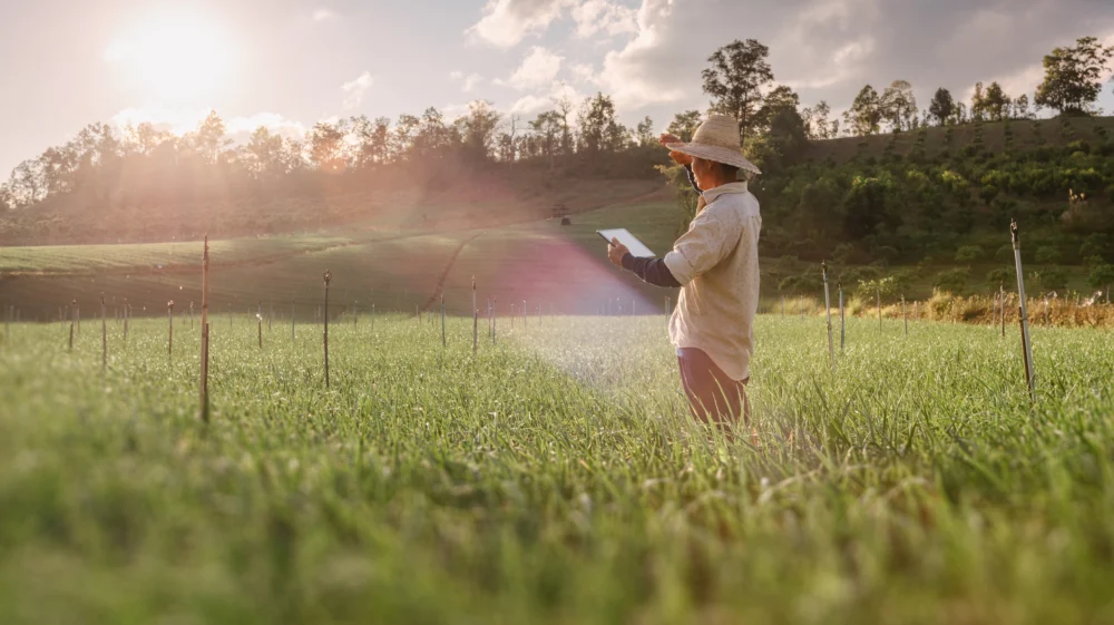 Senior farmer in the field