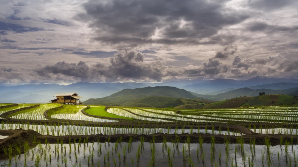 Rice terraces and village in Chiang Mai, Thailand.