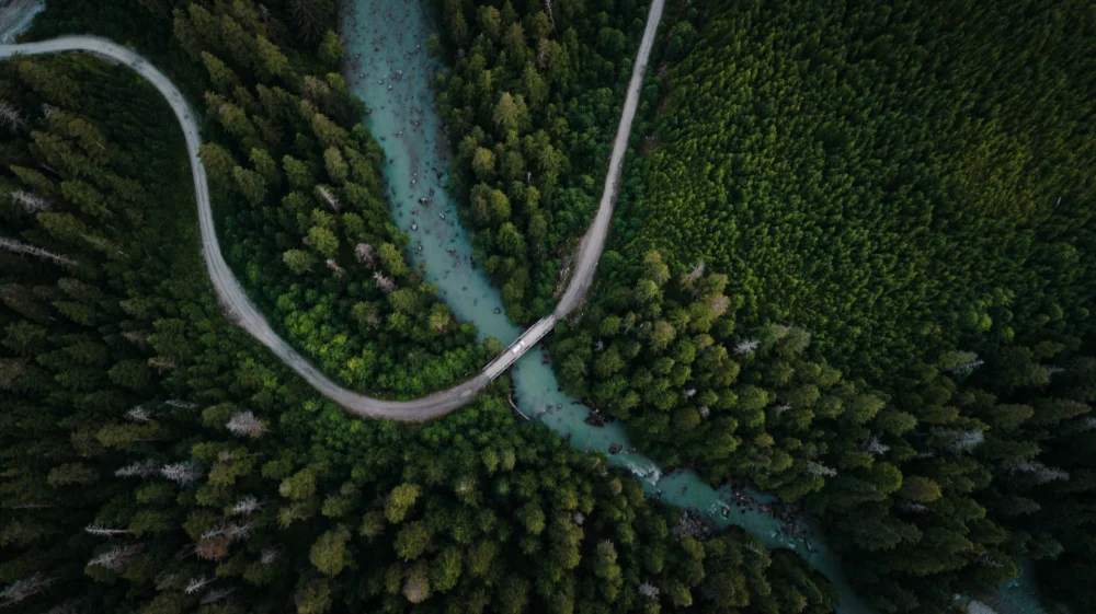 Aerial view of green trees and river, Kitimat, BC, Canada