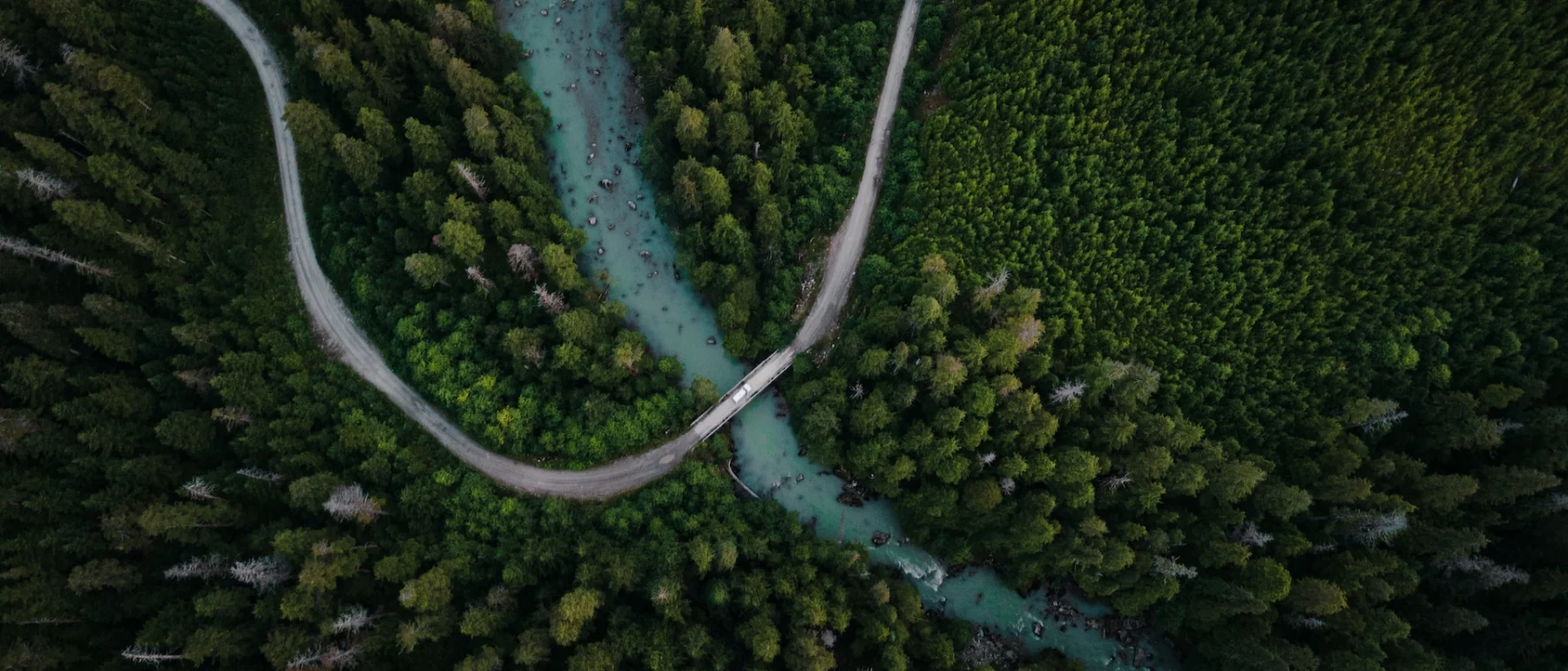 Aerial view of green trees and river, Kitimat, BC, Canada