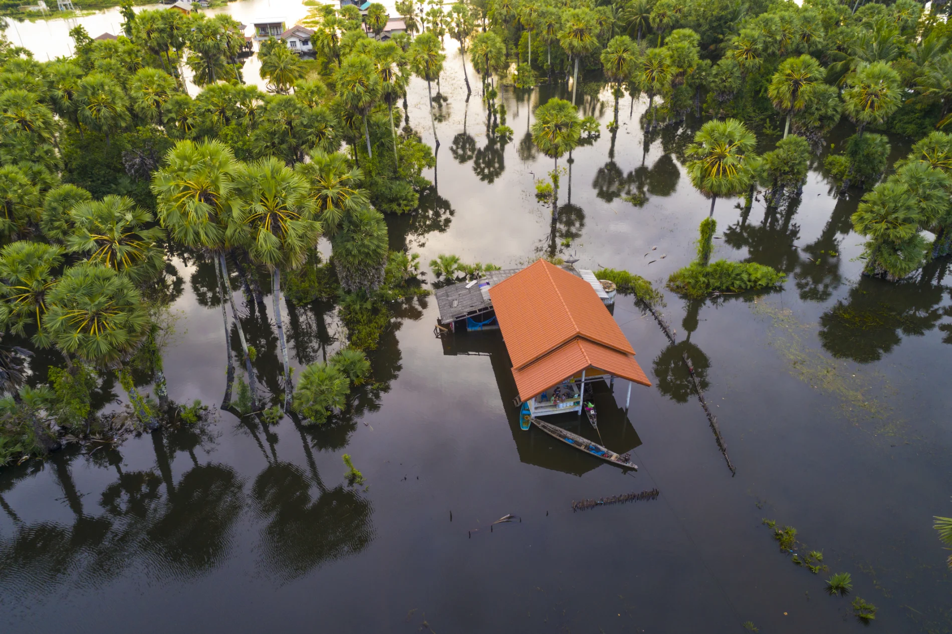 Thailand floods, Natural Disaster.
