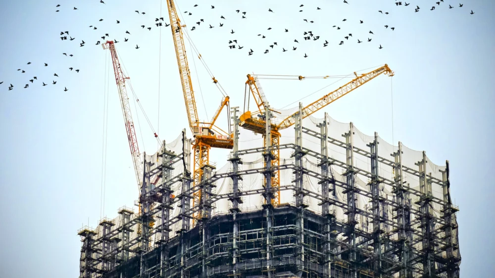 Construction site. Birds. Low angle photography of cranes on top of building