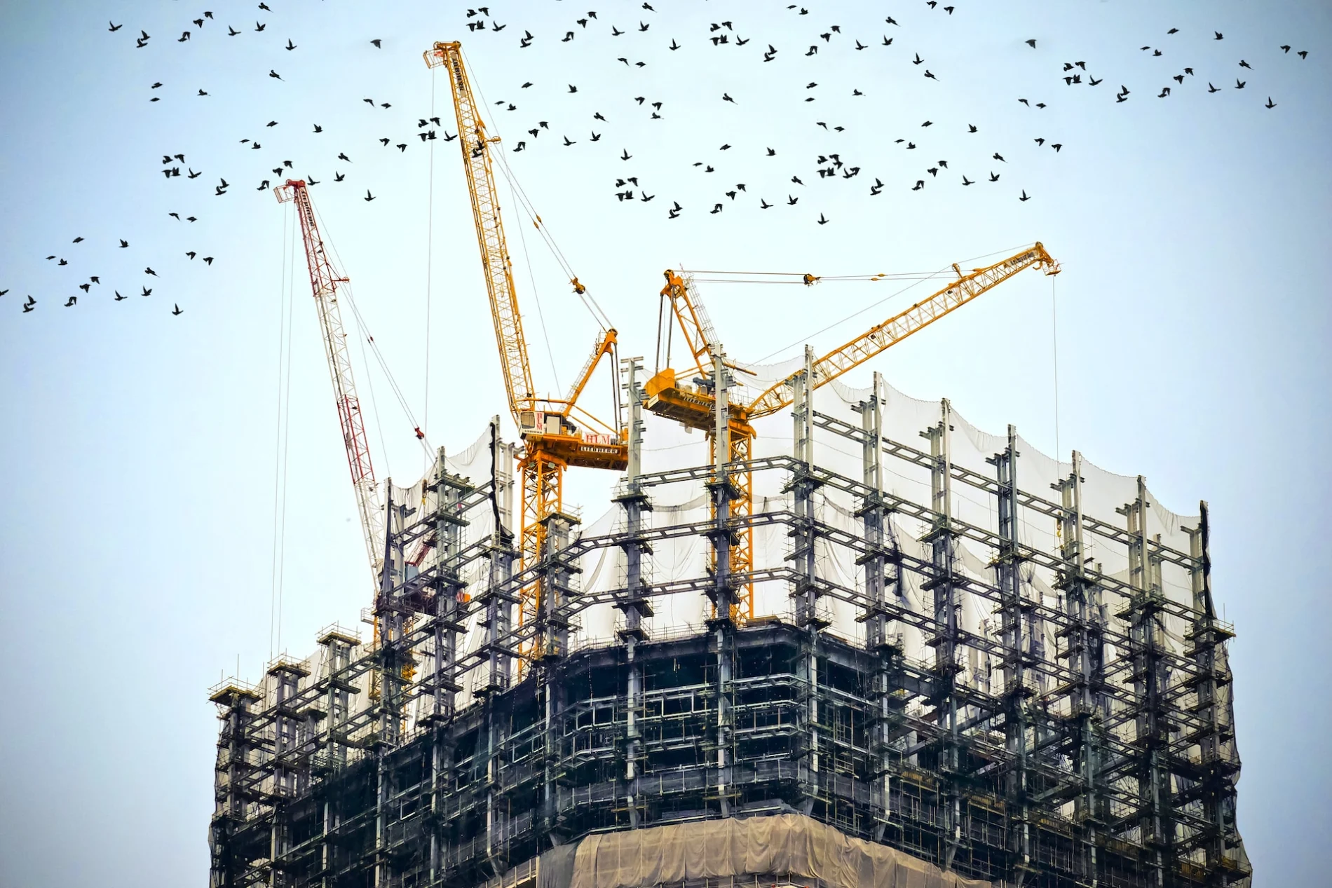 Construction site. Birds. Low angle photography of cranes on top of building