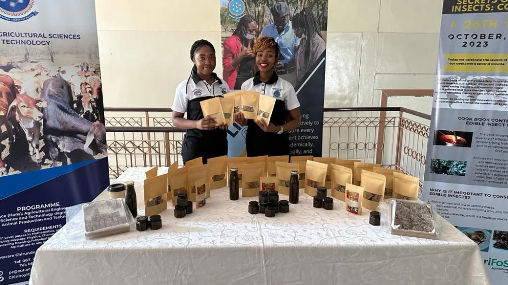 Edible insect project members showcasing snacks made with edible insects