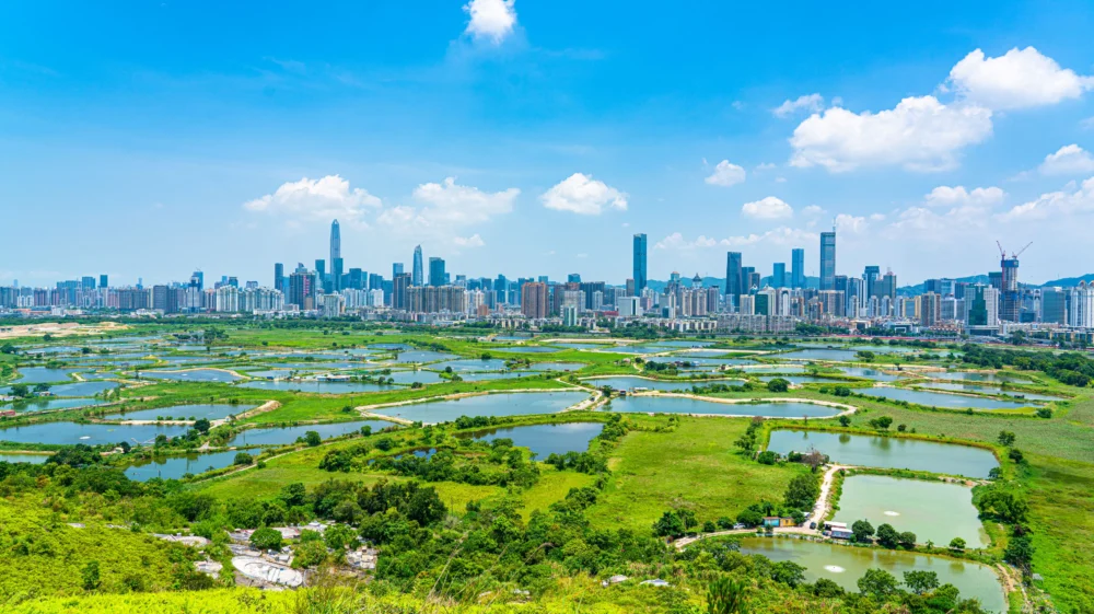View of rural green fields with fish ponds between Hong Kong and skylines of Shenzhen,China