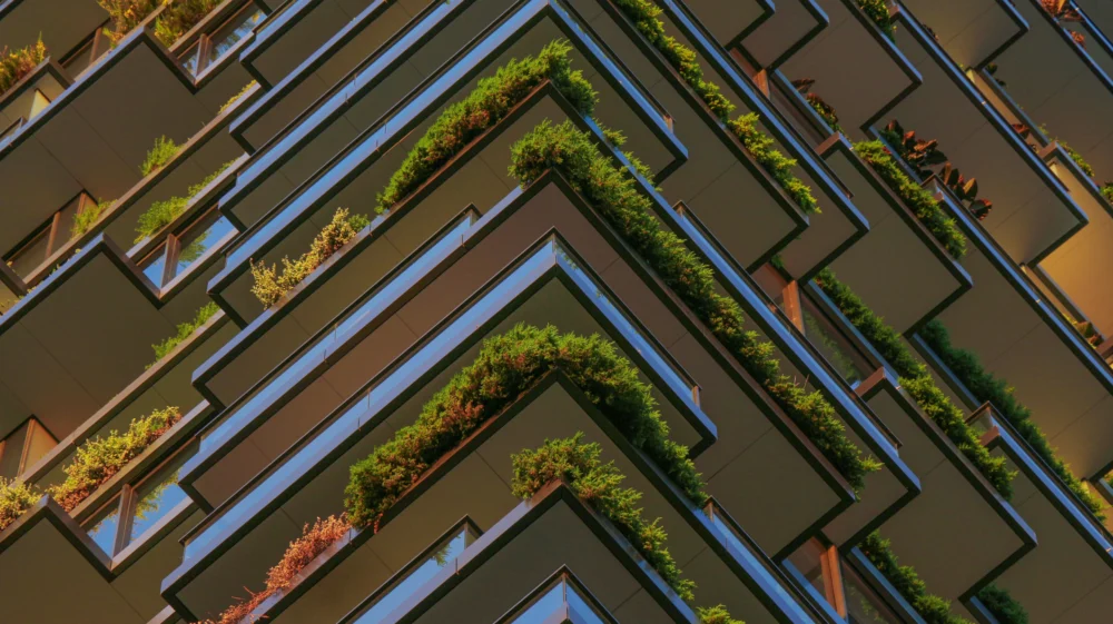 Plants hanging in the balcony of a high rise building