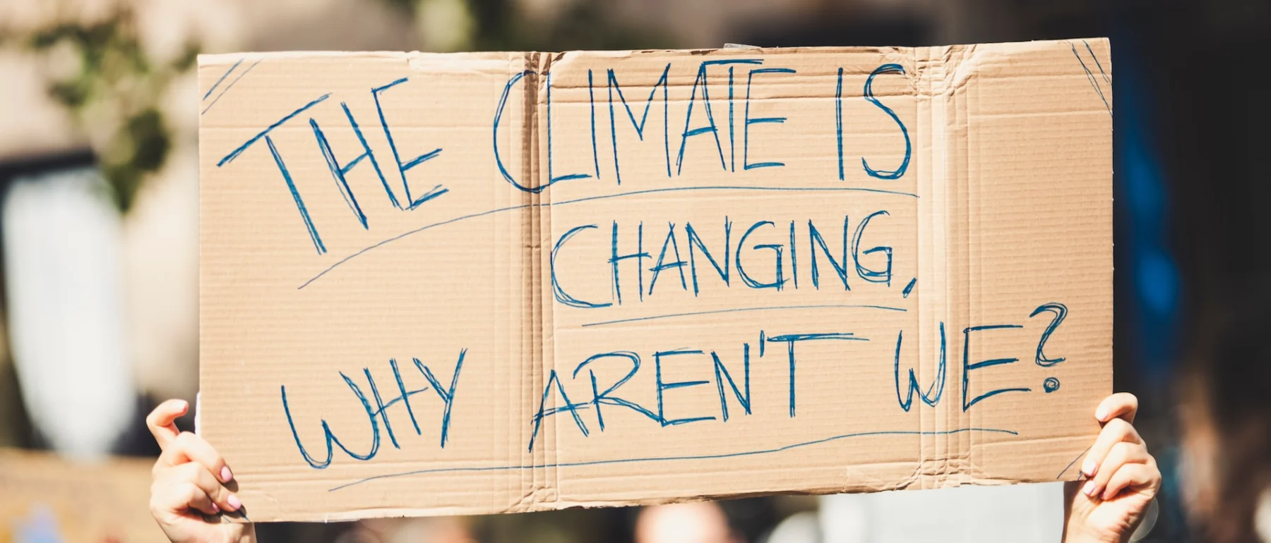 Climate protest