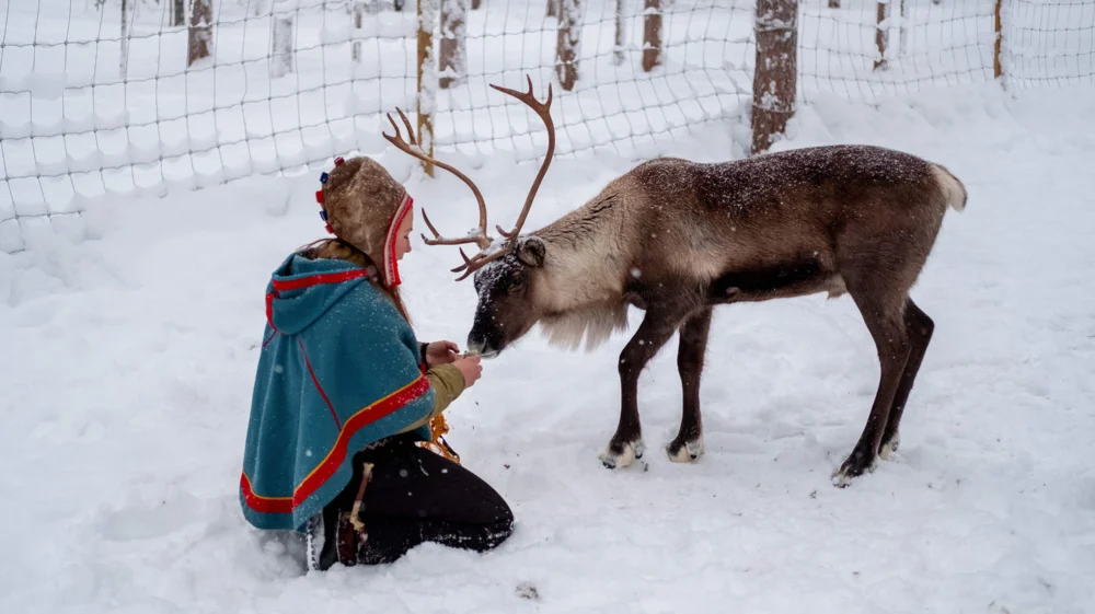 woman in red coat and black pants sitting on snow covered ground beside black and brown reindeer