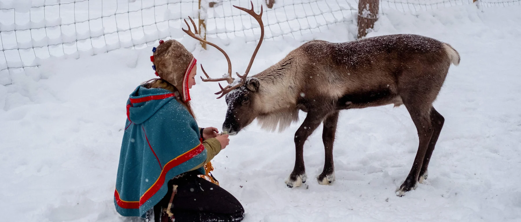 woman in red coat and black pants sitting on snow covered ground beside black and brown reindeer