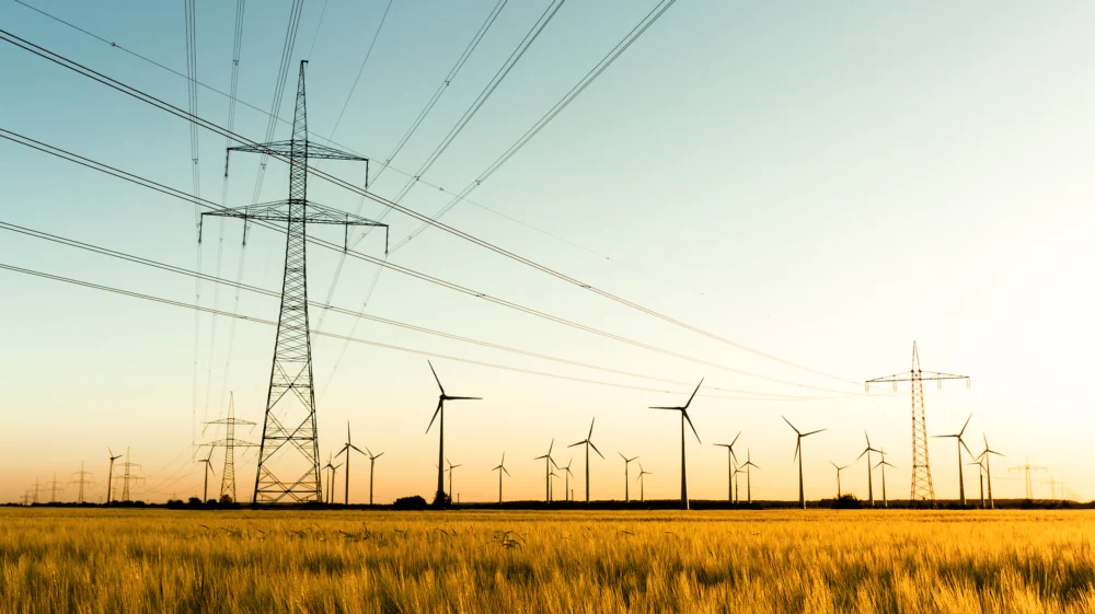 Corn field with power poles and wind turbines. Photo taken in autumn sunlight shortly before sunset.