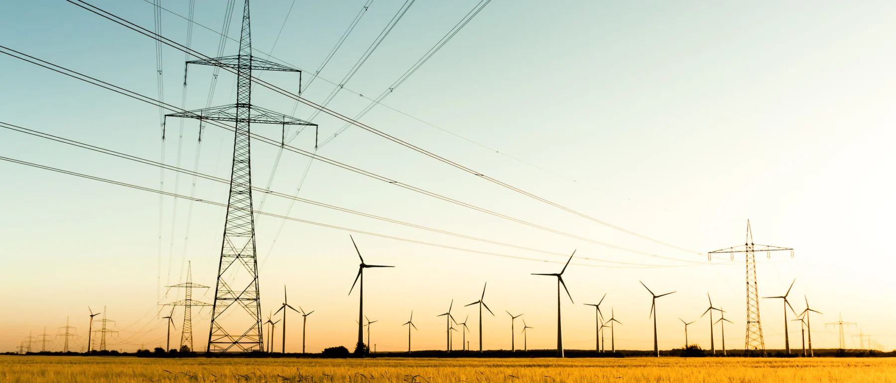 Corn field with power poles and wind turbines. Photo taken in autumn sunlight shortly before sunset.