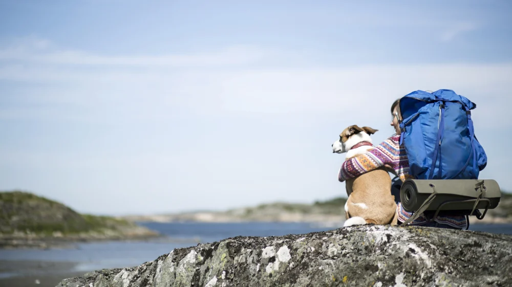 A woman with a large blue backpack sitting a top of a rocky hill, her arm wrapped around her dog.