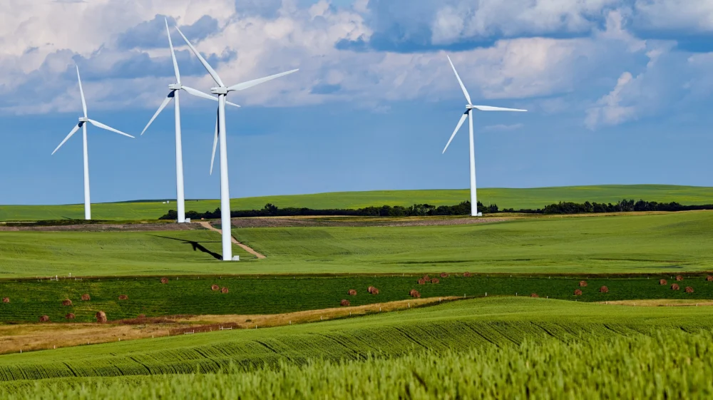 White wind turbines situated in a green agricultural field beneath a blue sky with white billowy clouds