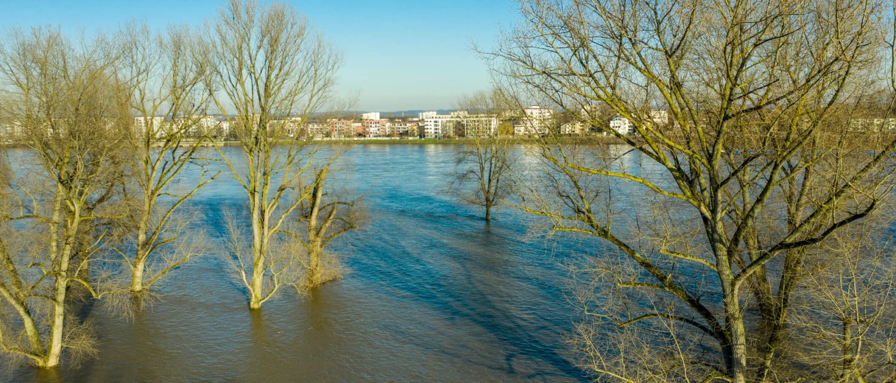Aerial view of trees submerged by the flooding River Rhine at sunset in Cologne, North Rhine-Westphalia, Germany.