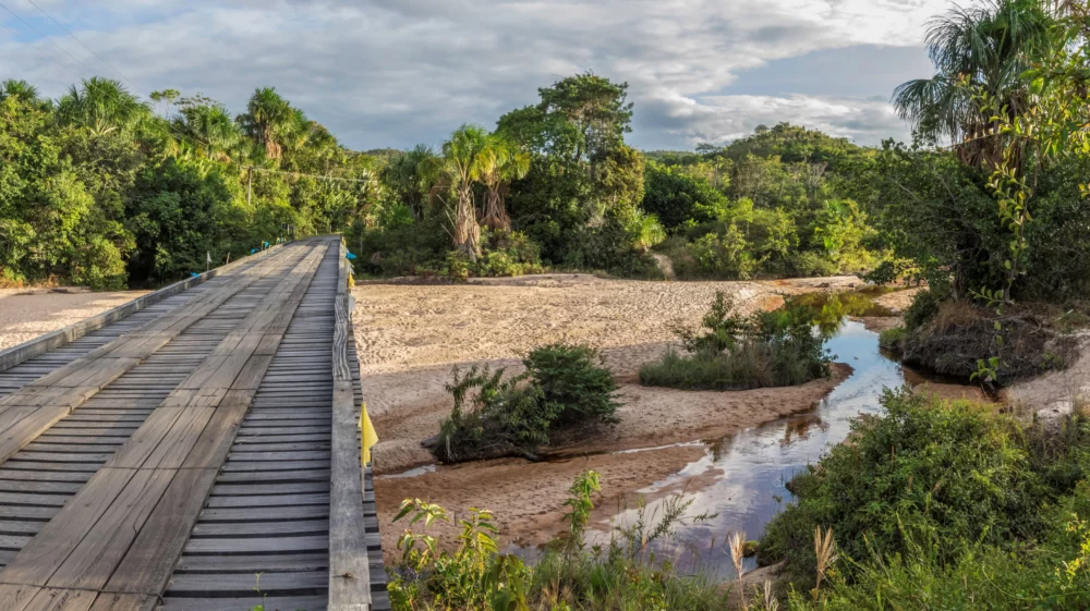 Panorama scene of wooden bridge