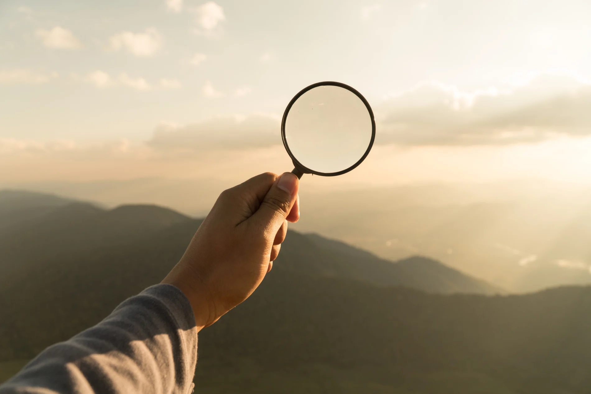 Transparency in supply chains.