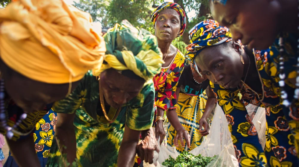 In the Katfoura village on the Tristao Islands in Guinea, the civil society organization Partenariat Recherches Environnement Medias (PREM) is providing rural women with new opportunities to generate income and improve community life.