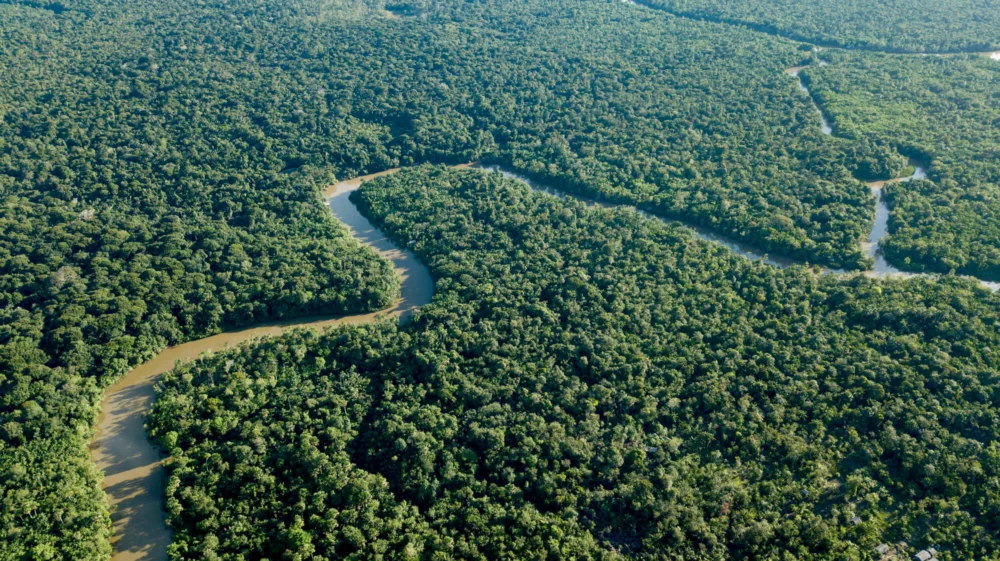 Aerial view of Amazon rainforest, near Muaná city in Marajó Island, Brazil