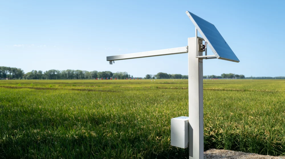 Rice field solar monitoring equipment