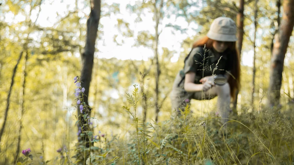 Close up of grassy plants in a forest. In the background a girl dressed in khaki clothes and a cap crouches, looking at something on the ground through a magnifying glass.