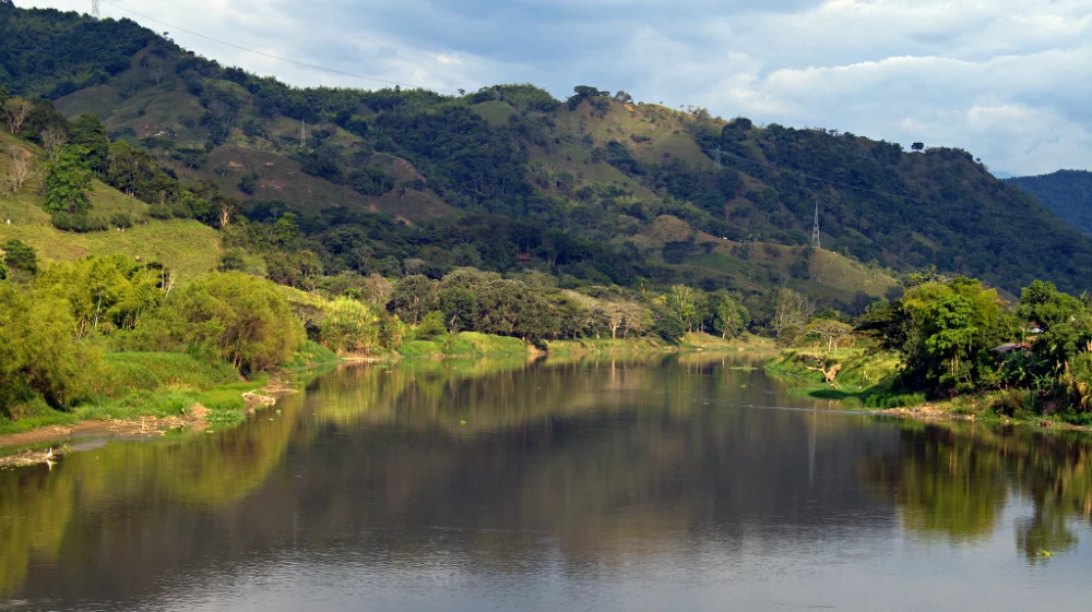 A dark river surrounded by green trees under blue cloudy sky