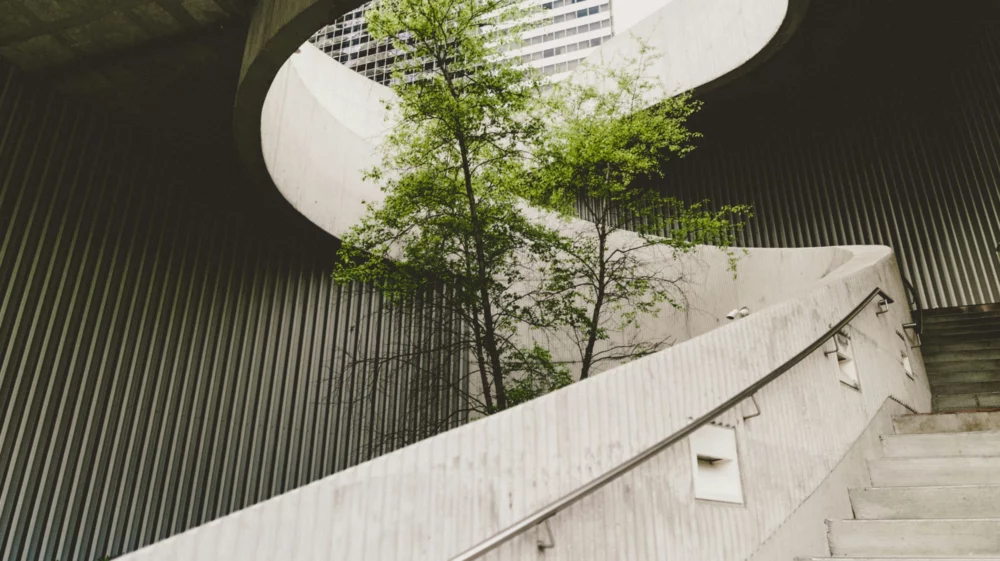 Spiral concrete staircase wraps around deciduous tree