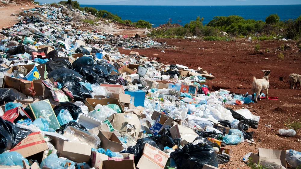 Plastic pollution