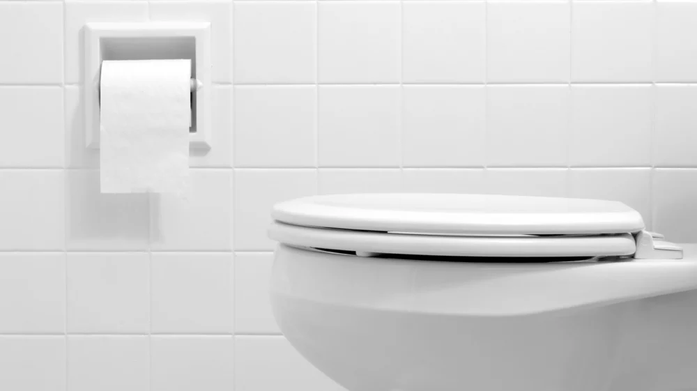 Clean, white bathroom toilet with the lid closed