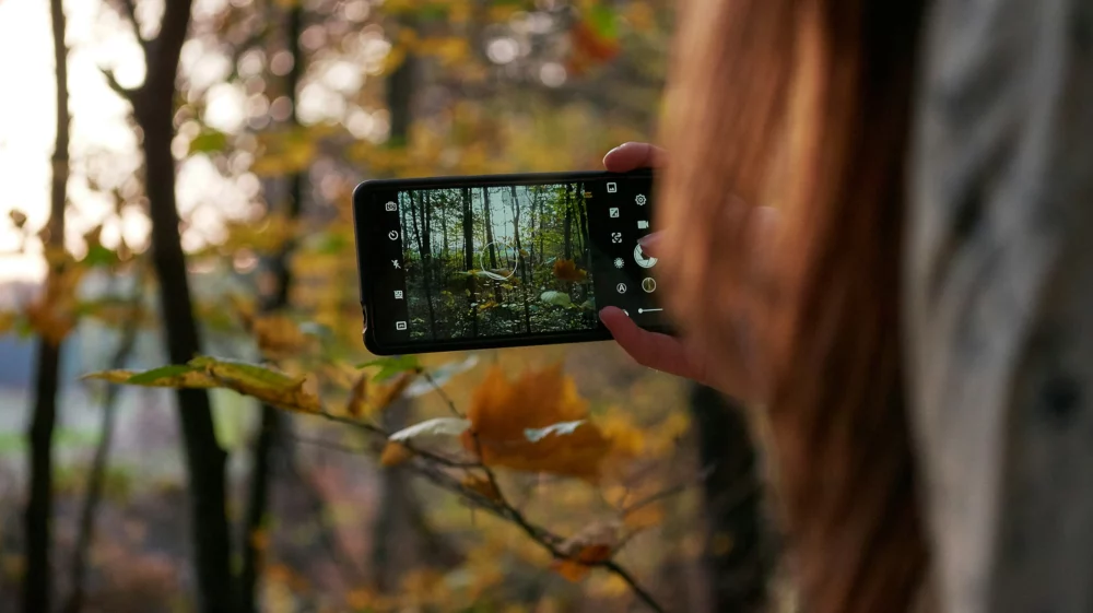Close up of a woman facing away from the camera, holding up a smart phone to take a photo of some leaves in a forest.