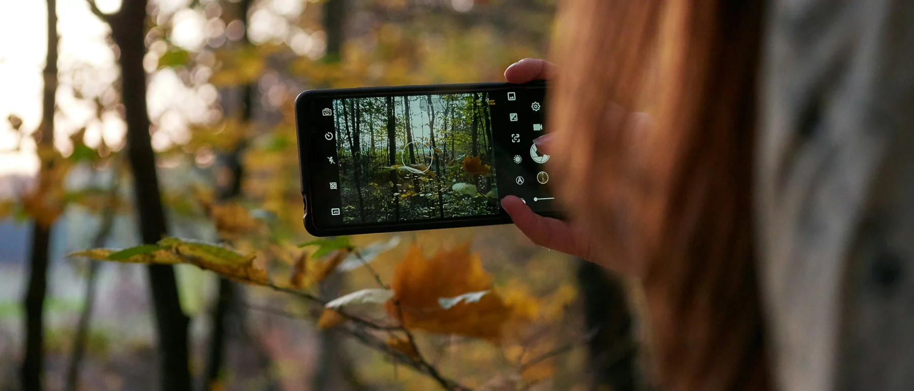 Close up of a woman facing away from the camera, holding up a smart phone to take a photo of some leaves in a forest.