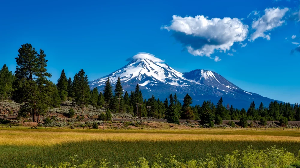 Mount Shasta against a blue sky, capped with small white clouds, overlooking a line of trees