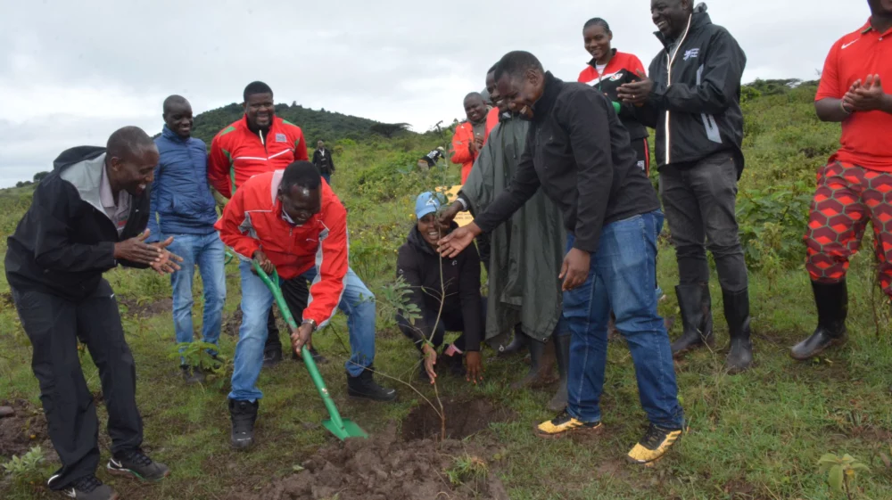 Tree planting in Kenya.