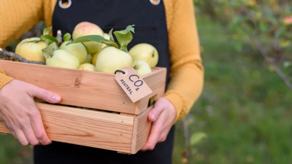 Woman worker holding local organic apples in wooden box with carbon emission label made from recycled paper