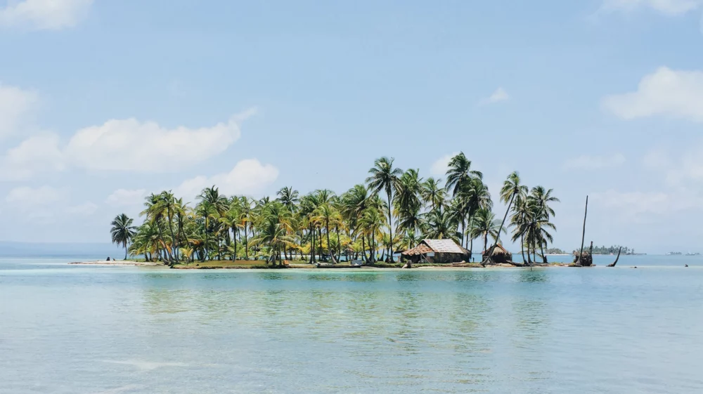 A small, tropical island in Kuna Yala, Panama, featuring a dense grove of tall palm trees and a few thatched huts along the shoreline. The island is surrounded by clear, turquoise waters and a bright, blue sky with scattered clouds.