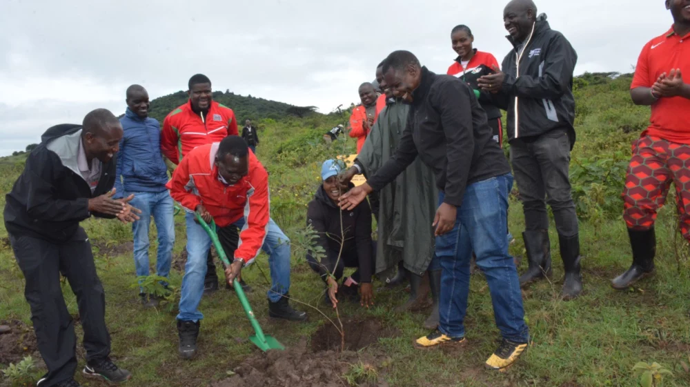 Tree planting exercise