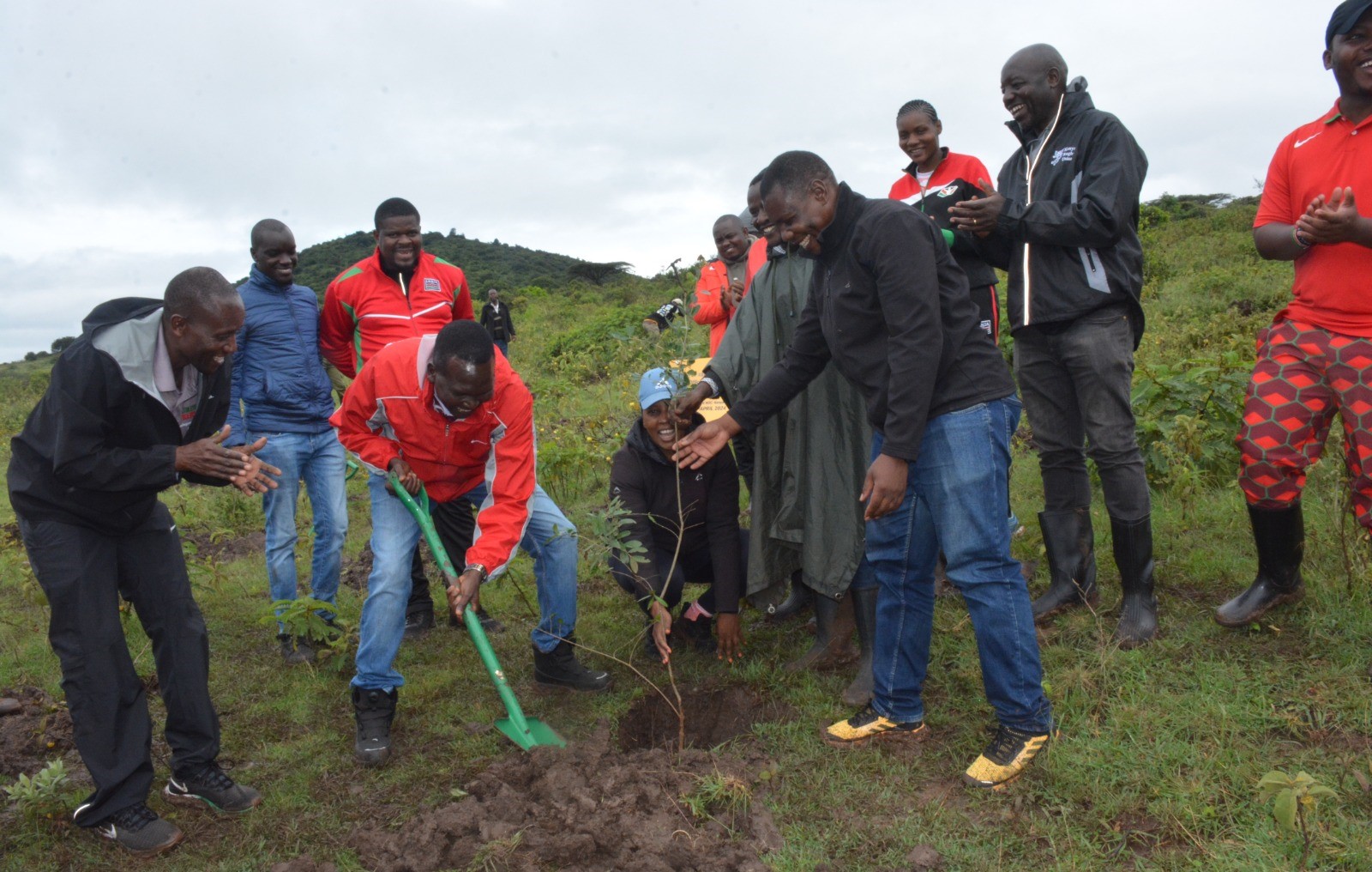 Tree planting exercise