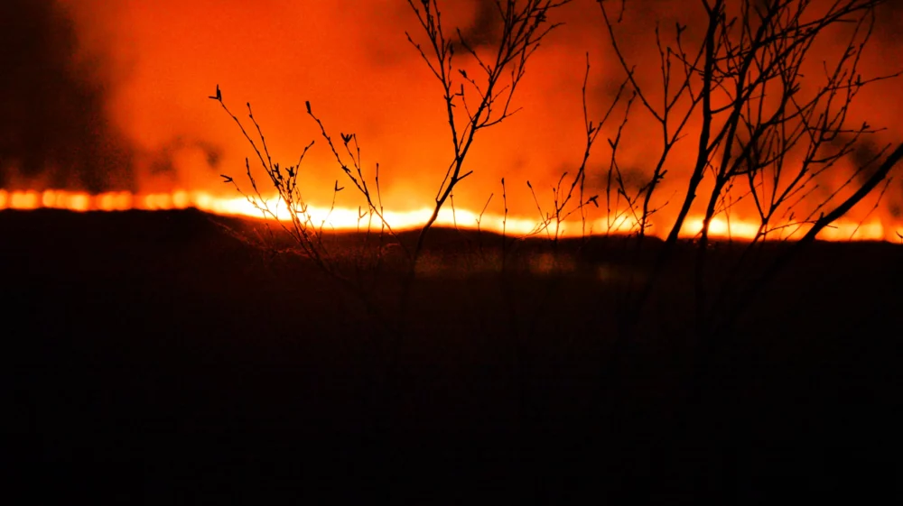 A silhouetted tree in focus in the foreground of the shot with out of focus flames creating an orange glow and natural lighting in the background.