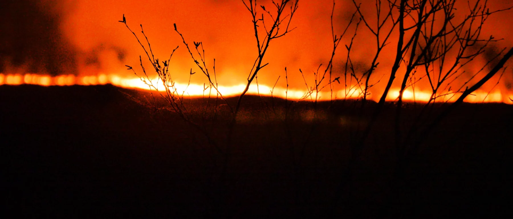 A silhouetted tree in focus in the foreground of the shot with out of focus flames creating an orange glow and natural lighting in the background.