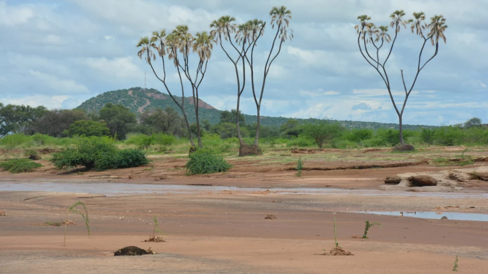 Ewaso Ng'iro river
