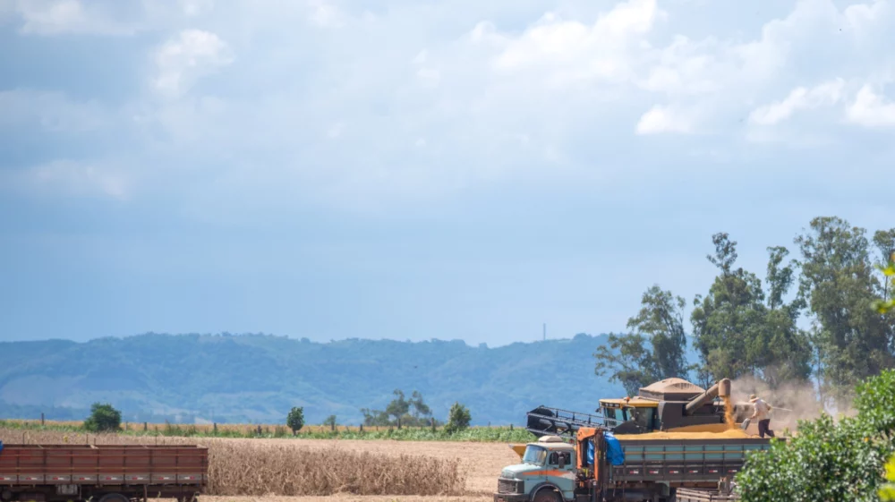 Self-propelled machine harvesting and unloading soybeans