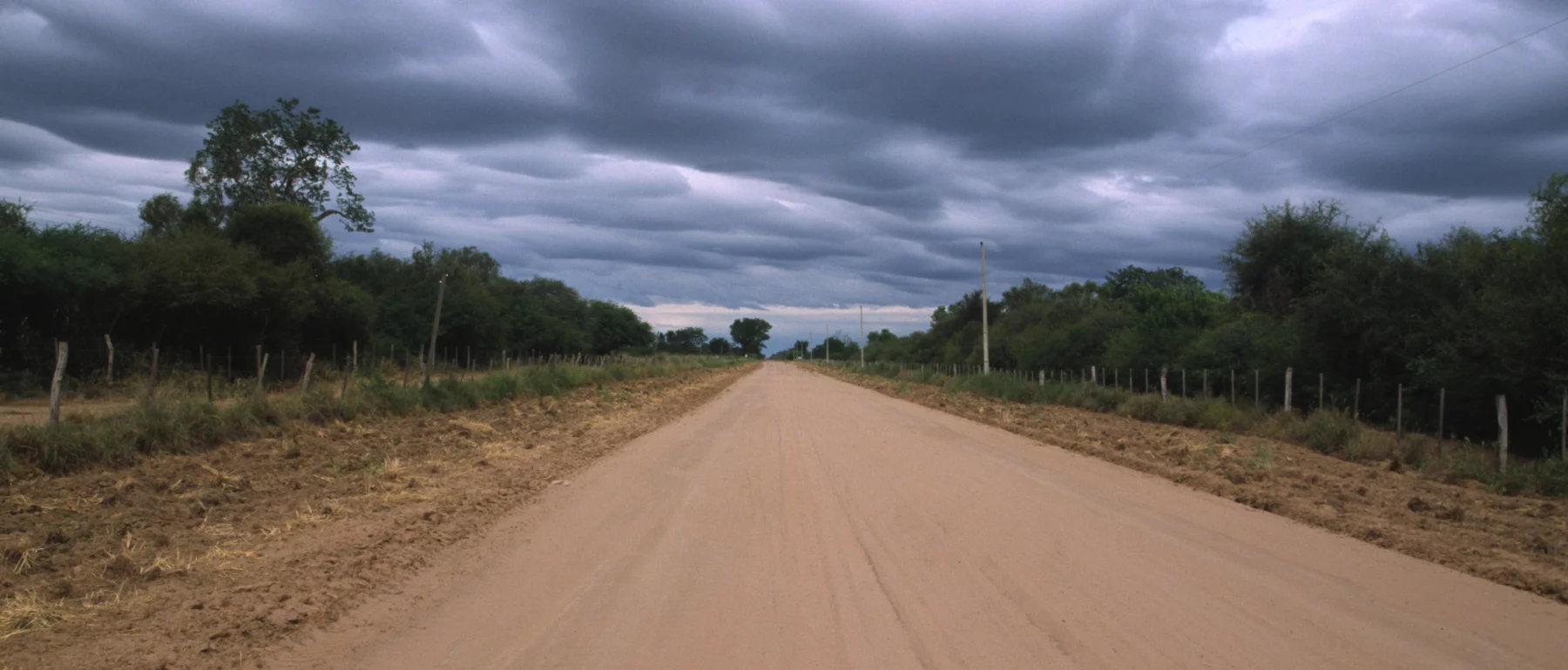 Dark clouds in the sky over a dirt road passing through tropical dry forest trees on either side.