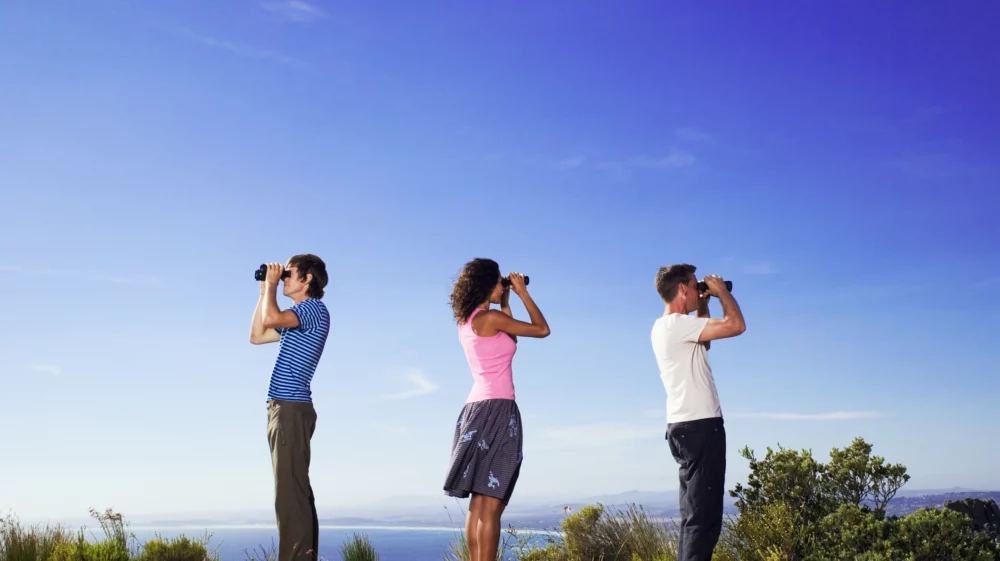 Three people looking through binoculars in different directions against the backdrop of a blue sky with green scrub forest in the lower background horizon at their knees.