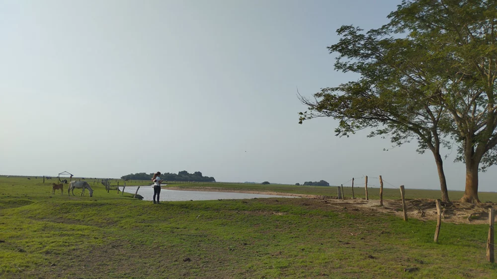 Paisaje Regiín del Cinaruco en la orinoquía de Colombia