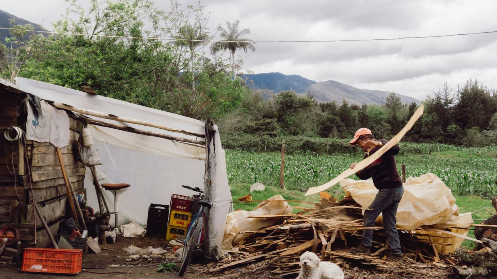 A person with a shovel and a dog in a yard with a fence and trees and mountains in Colombia