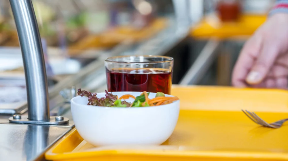 A small bowl of salad and a drink on a tray in a canteen queue