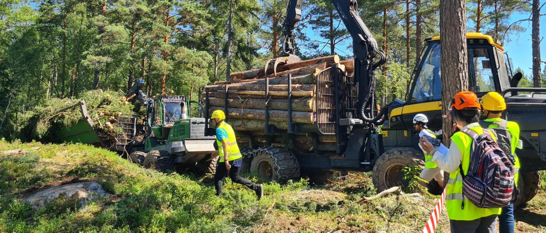 Forestry equipment lifting logs onto a truck in a Swedish forest, with several people wearing safety gear observing the process. Bright, sunny day with dense trees in the background.